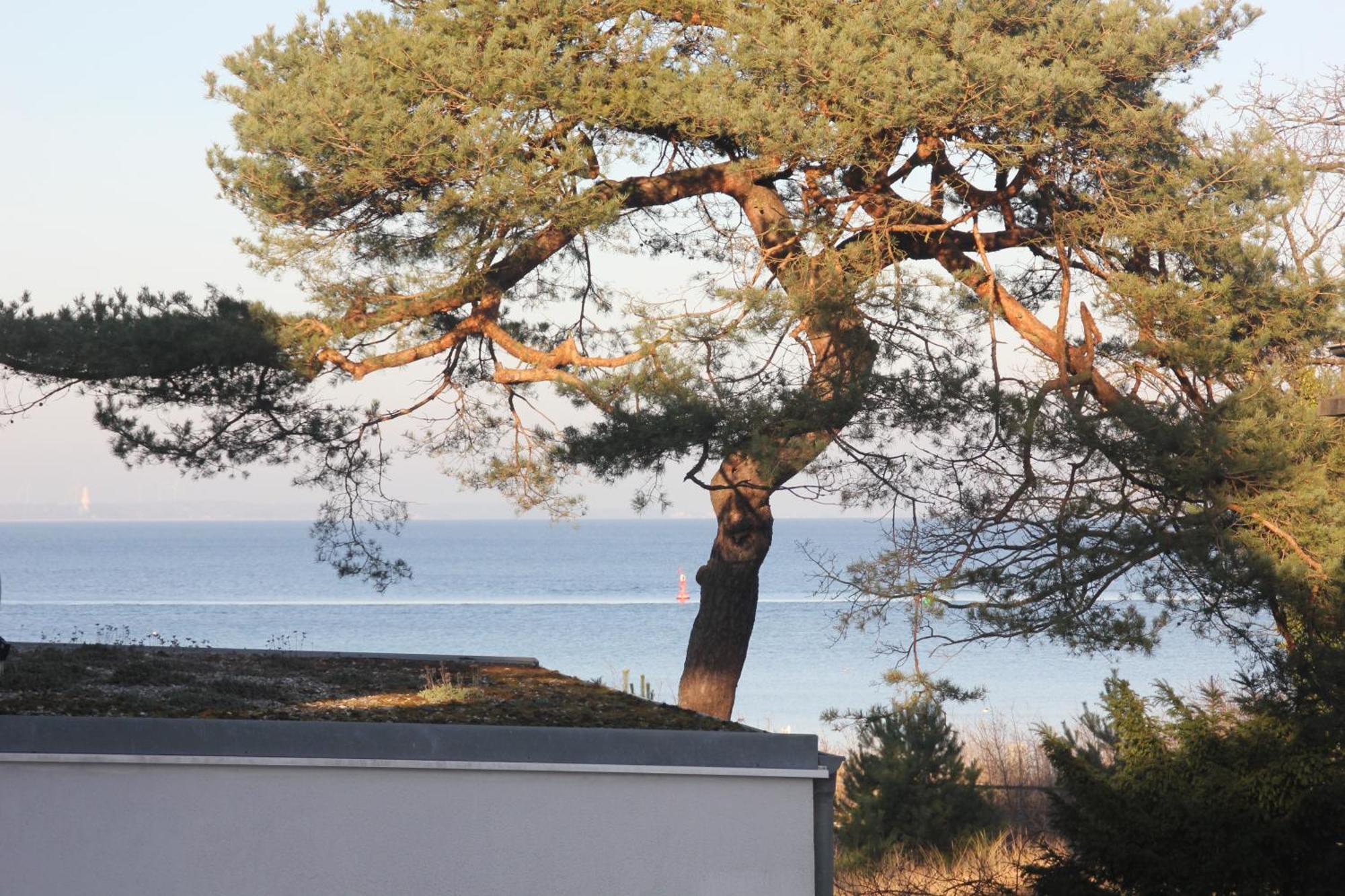 Sea And Salt Apartment Timmendorfer Strand Bagian luar foto